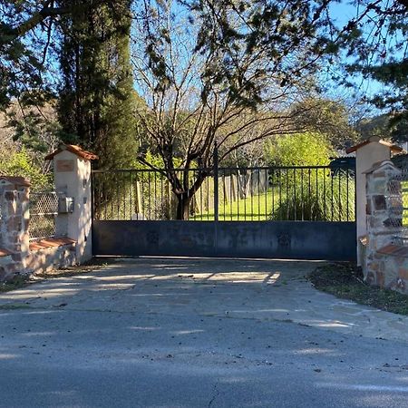 Villa San Marco Chambre D Hotes Lorgues Eksteriør billede