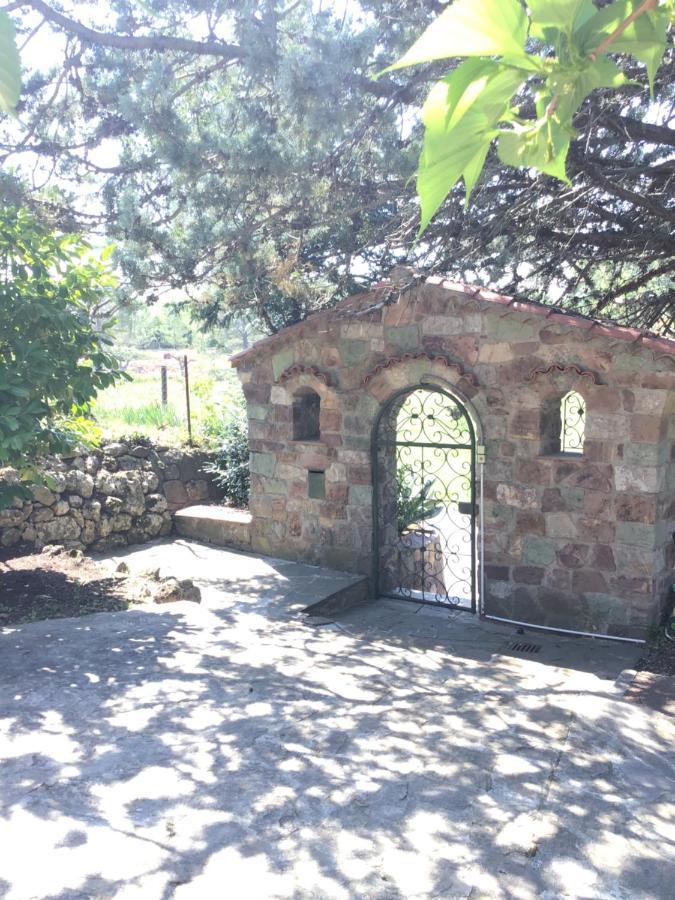 Villa San Marco Chambre D Hotes Lorgues Eksteriør billede