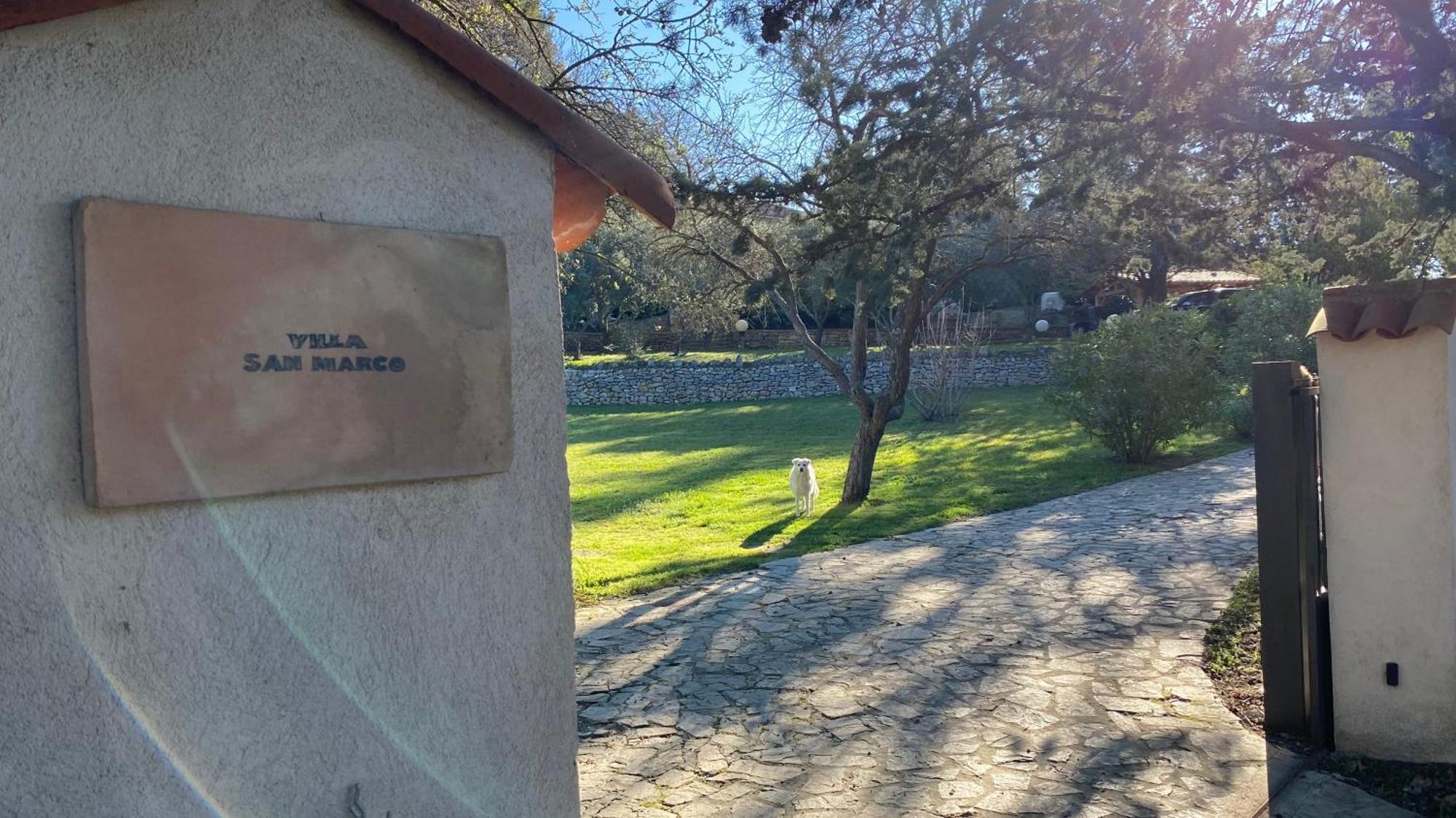Villa San Marco Chambre D Hotes Lorgues Eksteriør billede